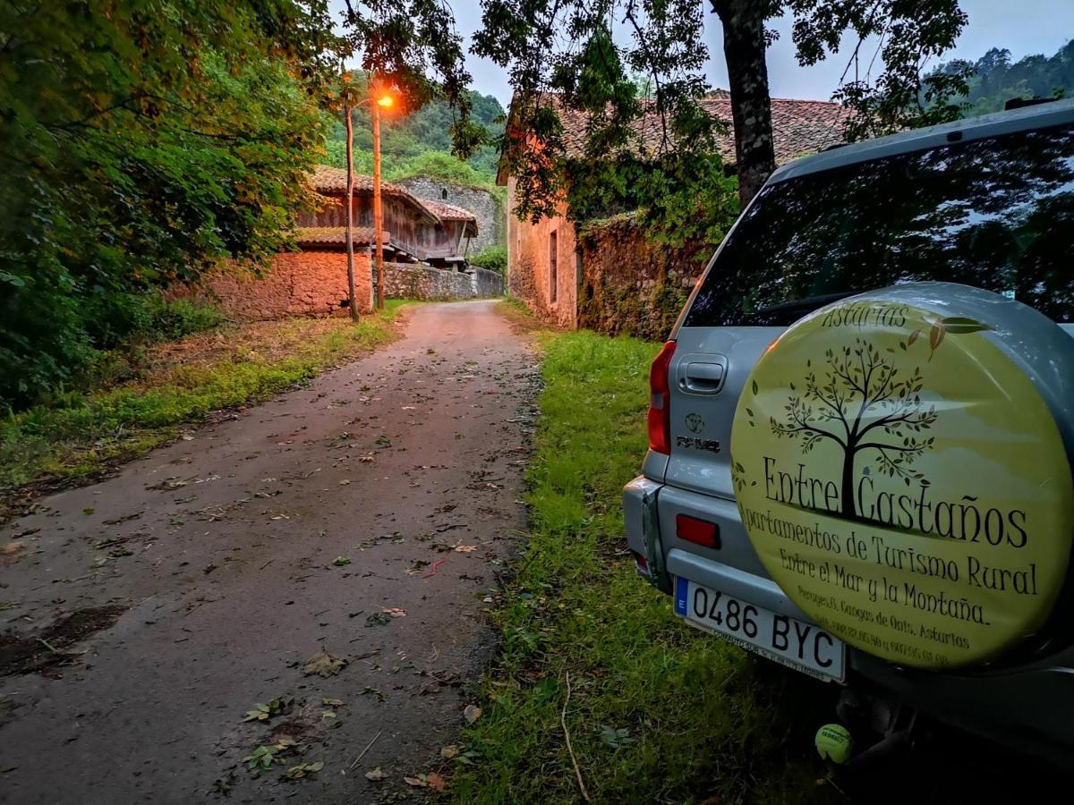 Casas Rurales Entrecastanos Onís Exterior foto